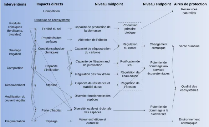 Figure 3-3 : Chaînes de causalité des impacts du land use sur la biodiversité et les services écosystémiques   (d’après (Koellner et al