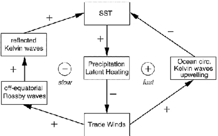 Fig. 1. Simplified principal feedback loops active in El Ni˜no- Ni˜no-Southern Oscillation (ENSO)