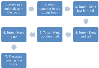 FIGURE 1.  Summary of the peer tutoring framework