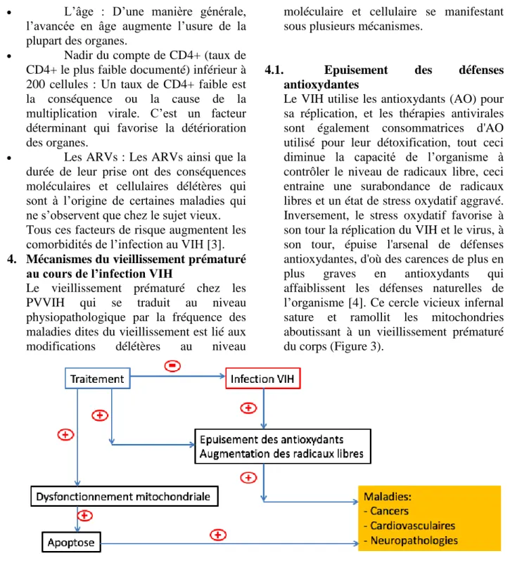 Figure  3  :  Effets  moléculaires  et  cellulaires  du  VIH  et  de  son  traitement  ARVs