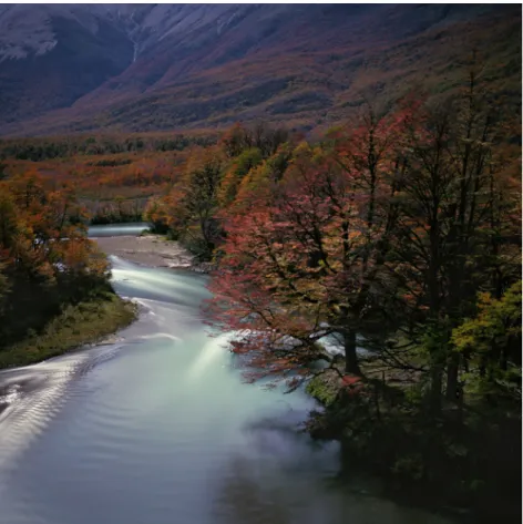 Fig 3. Darren Almond, Fullmoon@The River of Turns (2013)