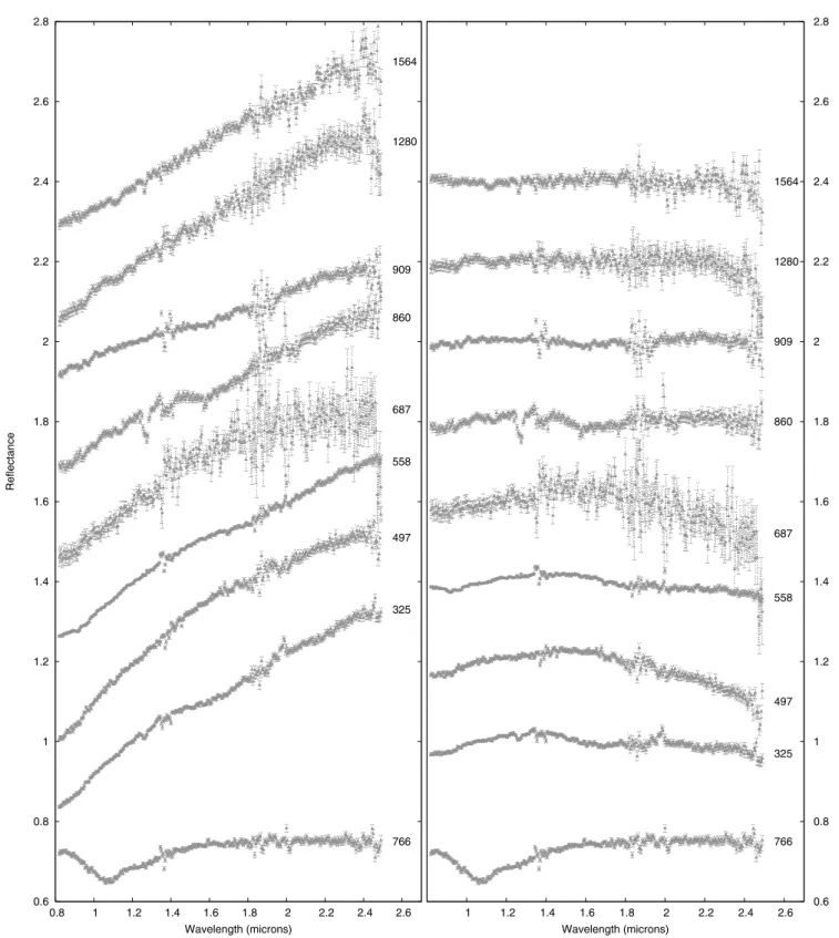 Fig. 1. NIR spectra of the nine observed asteroids, with theirs errorbars. The spectra were normalized to 1.25 µm and oﬀset for visibility (left panel)
