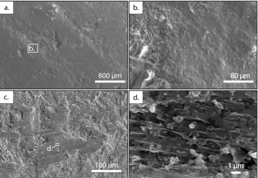 Figure 9. Microtextures of the fault surface after stick-slip experiments under scanning electron microscopy