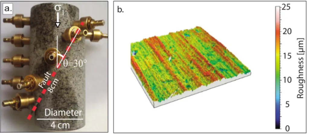 Figure 1. Details of the experimental apparatus and of the rock assemblage. (a) The fault system is simulated using saw-cut Westerly granite sample