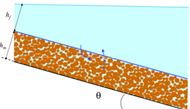Figure 2: Immersed configuration. The pure fluid layer is not thin, it has a horizontal free surface.
