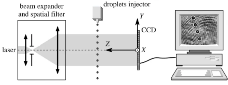 Fig. 1. In-line holography setup.