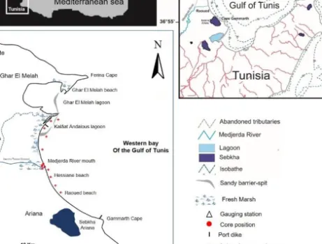 Fig. 1. The location map of the study field area of the depositional deltaic system of Medjerda  River, western bay of the Gulf of Tunis (Tunisia, Mediterranean)