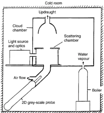 Fig. 1. The scattering chamber in the cold room together with the 2D ice crystal probe
