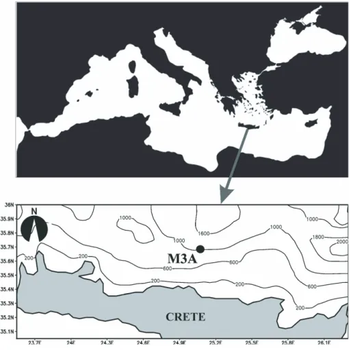 Fig. 3. Map showing the Mediterranean Sea and the site of the M3A buoy.