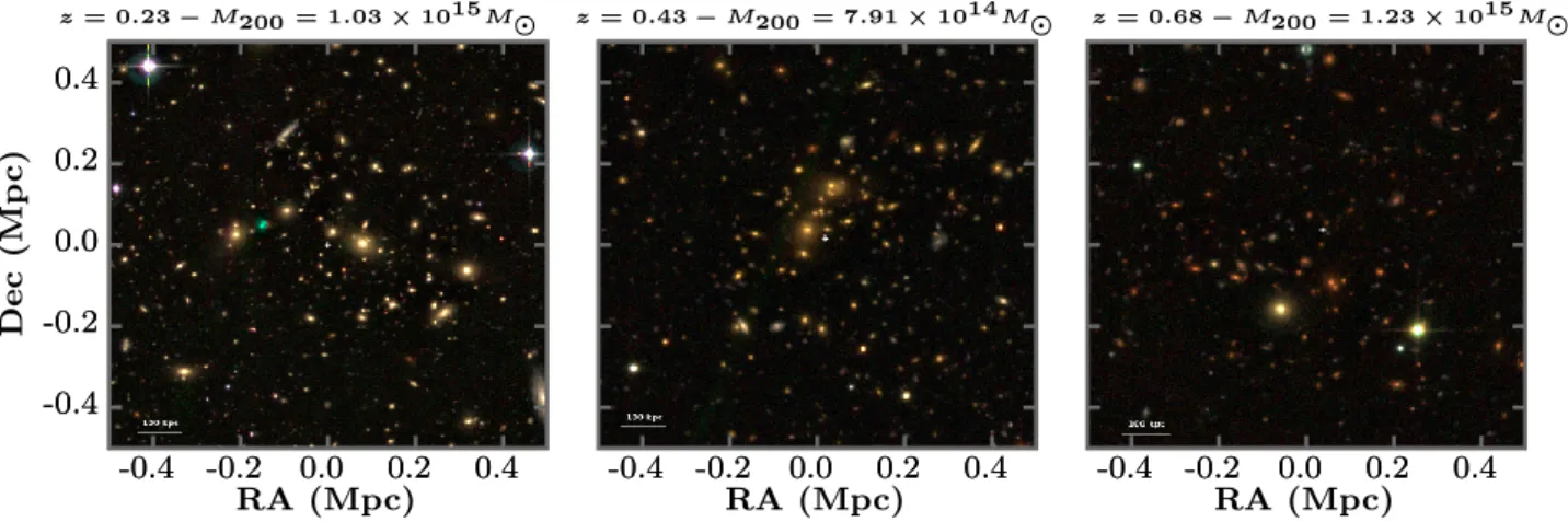 Fig. 3. gri images of three rich cluster candidates in the CFTHLS W1 field, centred on the AMASCFI cluster centres.