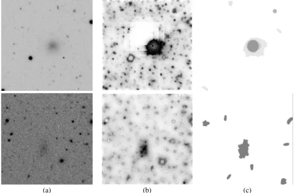 Figure 5: Application of FHMT to LSB detection, easy (top) and hard (bottom) cases. From left to right: contrast-stretched view of the original image of 512 ×512 pixels with an LSB galaxy at center, score map obtained after application of FHMT, and final m