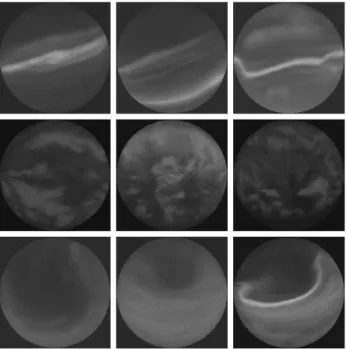 Fig. 4. Sample images from the three main auroral shape categories.