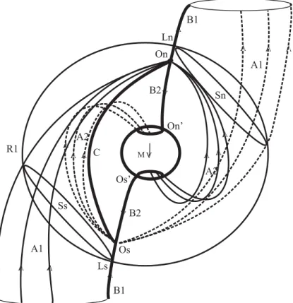 Fig. 1. Magnetospheric magnetic field structure for northward IMF. Sphere of the radius R 1 schematically marks the magnetopause