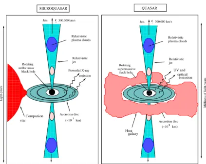 Figure 1: Schematic view illustrating analogies between quasars and microquasars.