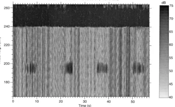 Fig. 2. Grey-scale plot showing the power backscattered by a 4.9128-MHz probing wave with 60- l s pulses while the Heating transmitter was transmitting a 5.423-MHz, X-mode wave of 5-s