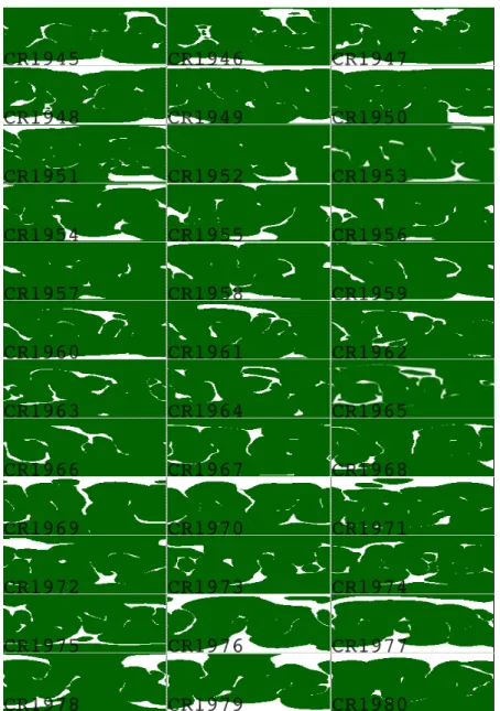 Fig. 3. Computed coronal hole boundaries for CR1945 to CR1980. Green indicates regions of closed magnetic fields and white indicates regions of open magnetic fields (i.e