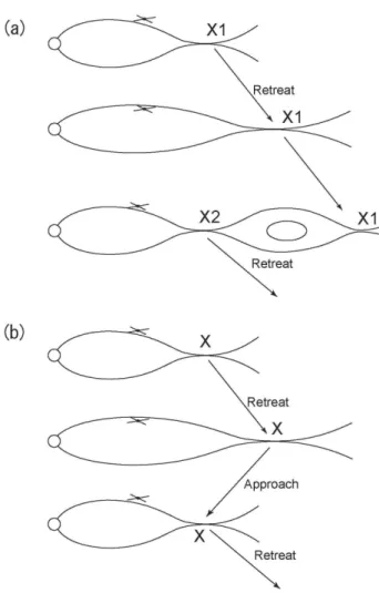 Fig. 7. Schematic picture of two possible neutral line motion sce- sce-narios. (a) Zigzag motion between the near-Earth region and  mid-tail region, (b) formation of plural X-lines by successive  reconnec-tions.