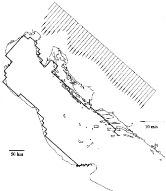 Fig. 2. Domain of the oceanographic model and the bora wind pro- pro-file used in the numerical experiments.