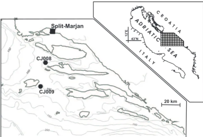 Fig. 1. Investigated area with positions of meteorological (Split- (Split-Marjan) and hydrographic (CJ008, CJ009) stations.