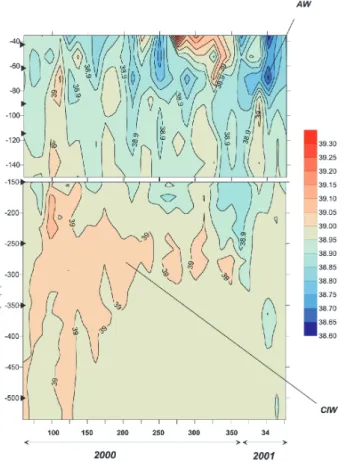 Fig. 6. Time/depth diagram of the salinity for one year of measure- measure-ments. Position of the instrument is shown by a triangle.