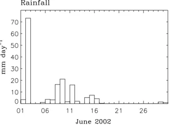 Fig. 9. Daily rainfall amount observed at Kototabang GAW station in June 2002.
