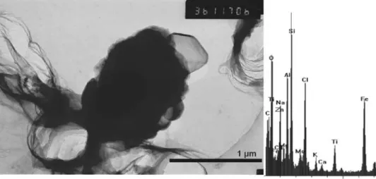 Figure 3. Cumulated mass size class distribution by transmission electronic microscope (TEM) for both cruises
