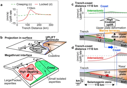 Figure 6. Conceptual model proposing a link between coastal deformation (building permanent uplift producing the mar- mar-ine terraces distribution we observe) and seismogenic behavior of the megathrust assuming an elastoplastic model of the Earth