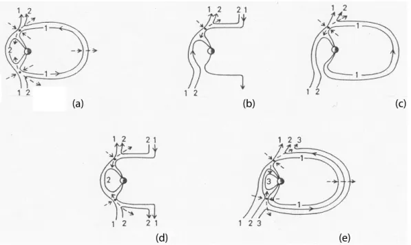 Fig. 1. Cowley’s (1981, 1983) pictorial presentation of five different physically possible topologies for lobe reconnection during Northward IMF.