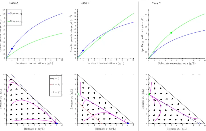 Fig. 1. Asymptotic behavior of System (4), Case A-C (see Proposition 5 and Table 1). Top: Speciﬁc growth rates as a function of substrate concentration