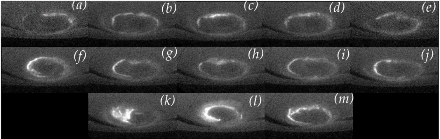 Fig. 2. UV images of Saturn’s southern aurora obtained by HST-STIS on 8, 10, 12, 14, 16, 18, 20, 21, 23, 24, 26, 28, and 30 January 2004 (panels a to m, respectively)