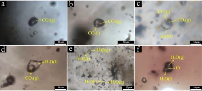 Figure 6. Microphotographs of different types of fluid inclusion at the Linglong gold deposit