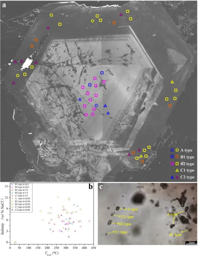 Figure 7. SEM-CL imaging of quartz with distributions of fluid inclusions (a) and a plot of homogenization temperatures and the salinity of different types of inclusions (b) revealed by CL image in (a)