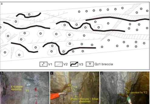 Figure 3. A sketch of vein types and their crosscutting relationship (a) and underground-tunnel images of the vein generations of the Linglong goldfield