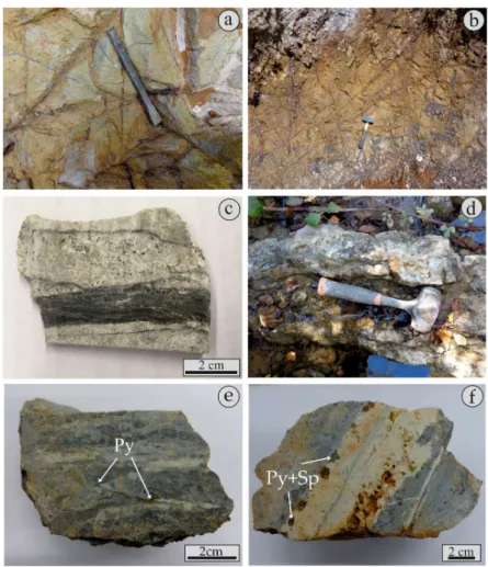 Figure 3. Field and hand-specimen photographs of pyrite-bearing ores from the Konos Hill porphyry- porphyry-epithermal prospect: (a) Oxidized D-type veins crosscutting sericitic-altered granodiorite porphyry; 