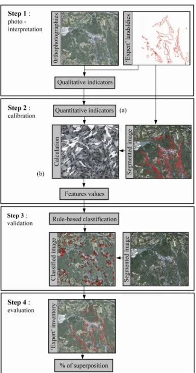 Figure 1. Schematic representation of the methodology. 