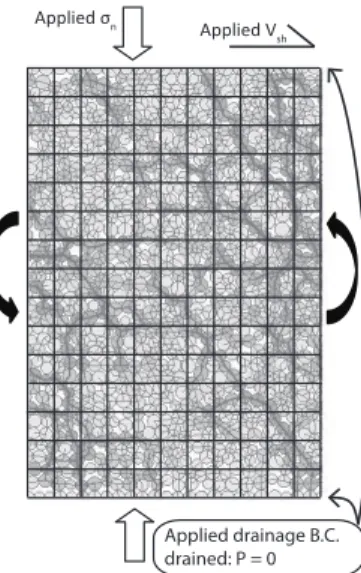 Figure  1.  Grains–fluid  simulations  setup.  In  each  simulation  a  collection  of  grains  is  packed  within  a  rectangular  box  with  wrap-around  boundary  conditions along the horizontal direction