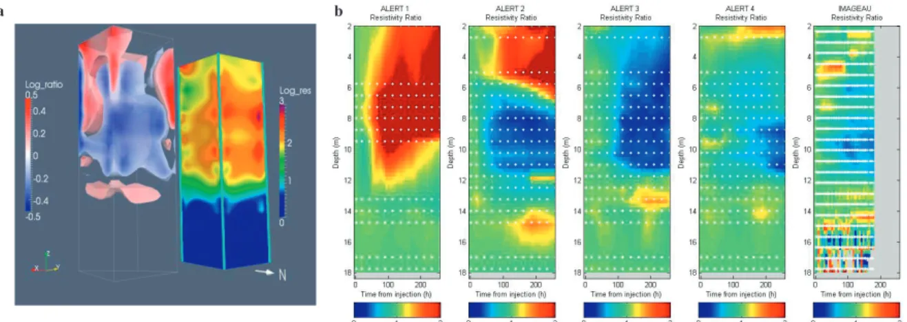 Figure 7. (a) 3D Resistivity model for day 11, viewed from the North East-facing ALERT borehole 2