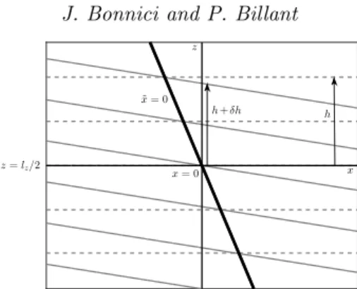 Figure 4. Lines of constant total buoyancy b t near the point x = 0, z = l z /2 at t = 0 (grey dashed lines) and t = t 0 (grey solid lines)