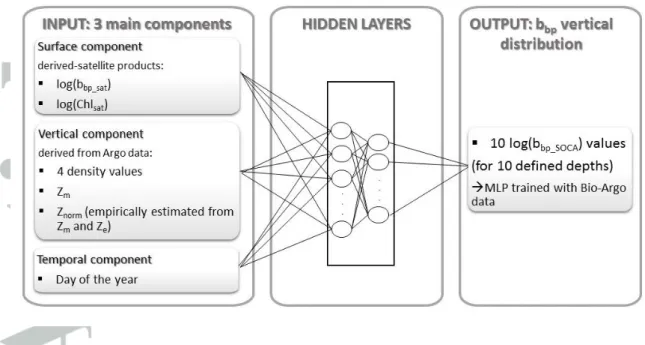 Figure  4.  Schematic  overview  of  the  SOCA-BBP  MLP-based  algorithm  that  retrieves  the  vertical  distribution  of  b bp   from  merged  ocean  color  satellite  and  Argo  data  associated  with  the day of the year of the considered satellite-to-