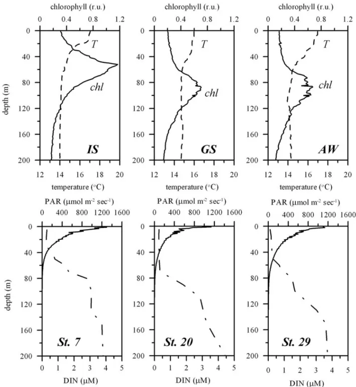 Figure 3. Ionian Sea. (top) Average profiles of temperature (T, C, dashed line) and chlorophyll fluorescence (relative units, solid line) for the three areas identified in the study area, as measured by the CTD (IS, n = 8; GS, n = 12; AW, n = 12)