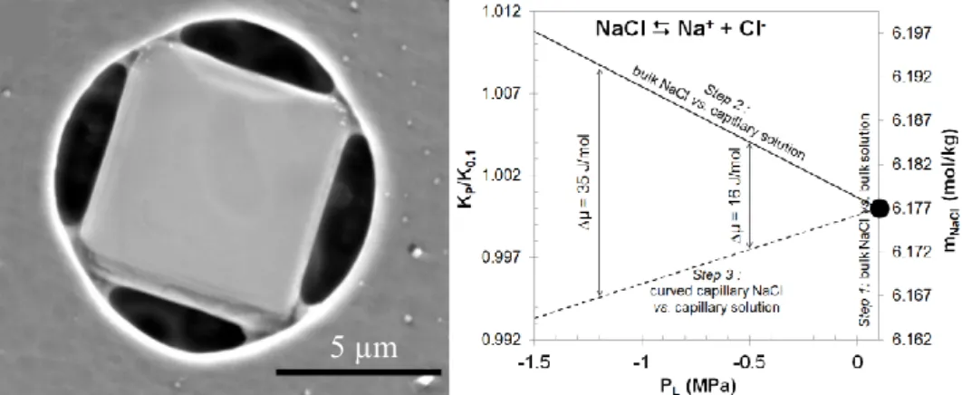 Figure  1:  Left,  normal  and  capillary  halite  precipitated  in  a  pore  initially  saturated  with  aqueous  solution and submitted to a drying sequence