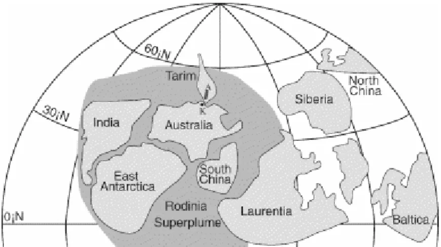Fig. 6. Possible mid-Neoproterozoic position of the Tarim Basin with respect to the Rodinia  supercontinent proposed by Li and Powell (2001) for the 1000–760 Ma interval
