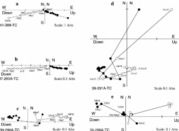 Fig. 3. Orthogonal projection in tilt-corrected coordinates of progressive demagnetization for  representative samples (Zijderveld, 1967)