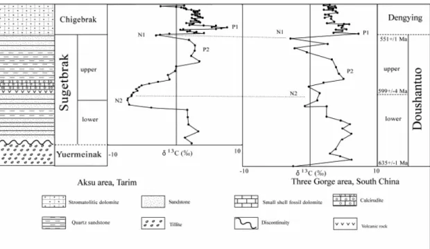 Figure 7. δ 13 C isotope line of the Sugetbrak Formation in Area I correlated to the δ 13 C  line of the South China Block (Modified after He et al., 2006)