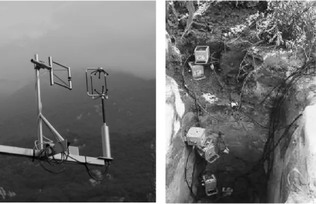 Fig. 2. Instrumentation at the site Bosco di Sotto. Left: asymmetric ultrasonic anemometer combined with a fast-response krypton hygrometer.