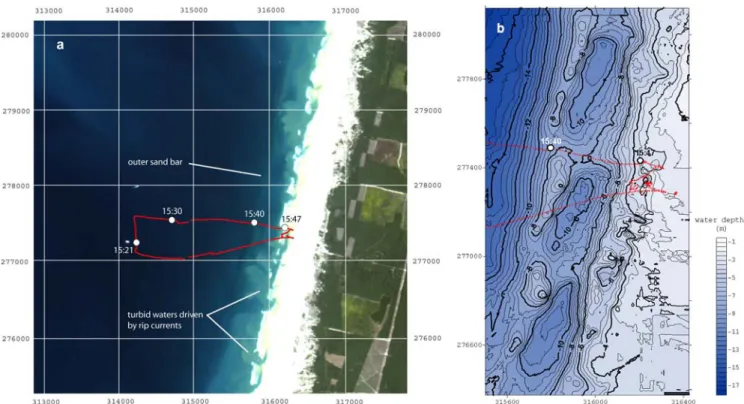 Figure 1. (a) Formosat-2 satellite image of Truc Vert Beach on April 5, 2008 (@Kalideos Littoral –  CNES), coordinates relative to the Lambert 3 national datum, the jet-ski trajectory during the field  hyperspectral experiment is in red and location of the