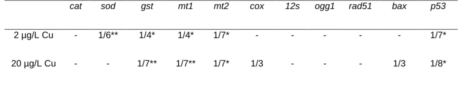 Table  4:  Transcription  of  genes  involved  in  antioxidant  defense  (cat,  sod),  DNA  repair  (ogg1  and  rad51), 