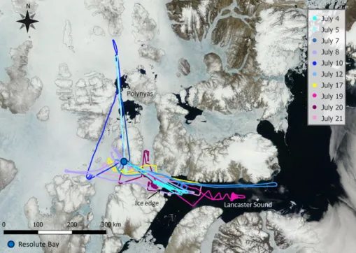 Figure 1. Compilation of all flight tracks plotted on a satellite image from 4 July 2014