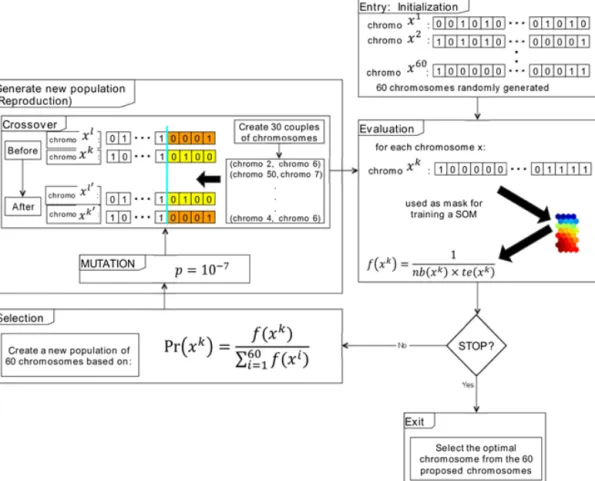 Figure 2. Diagram for the selection of variables based on a genetic algorithm associated with Kohonen maps.