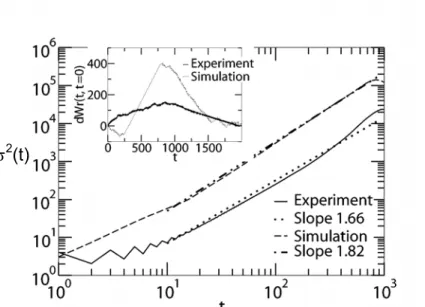 Figure 10. The variances σ 2 (t) of the writhe fluctuations (Eq. 5) for the dynamics of 7 microspheres